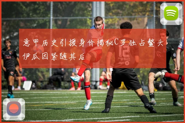 意甲历史引援身价揭秘C罗独占鳌头伊瓜因紧随其后