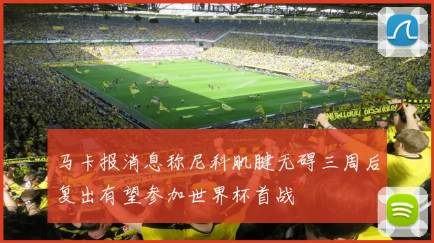马卡报消息称尼科肌腱无碍三周后复出有望参加世界杯首战