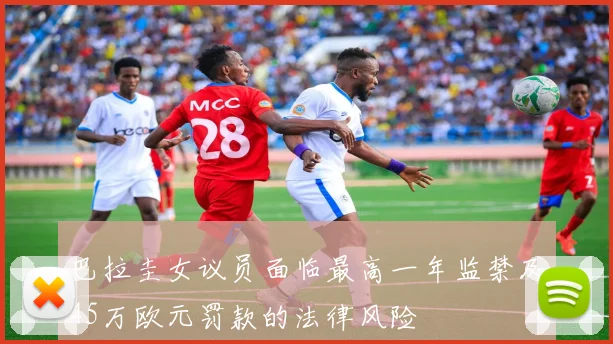 巴拉圭女议员面临最高一年监禁及45万欧元罚款的法律风险